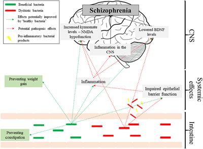 recent research on schizophrenia